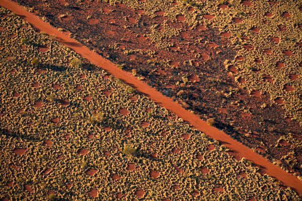 The Aboriginal people of Western Australia have a long history with the vegetation gaps of the region's inland deserts. 