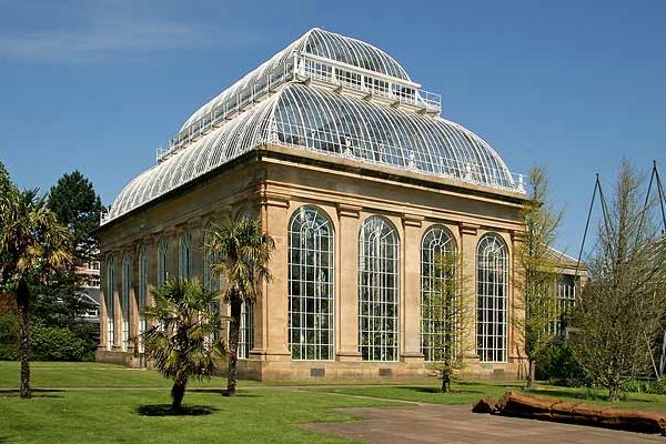 The Palm house