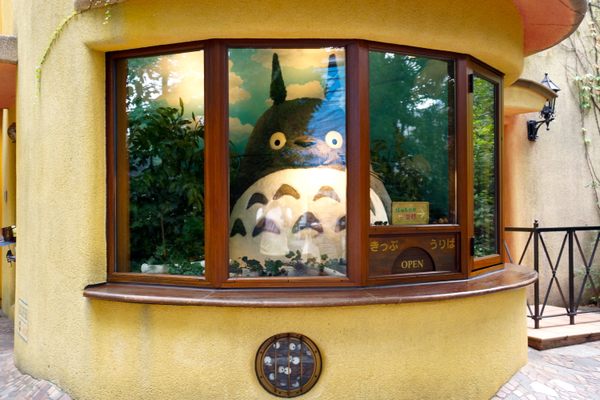 Totoro stares out