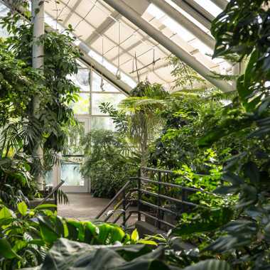 Brooklyn Botanic Garden.