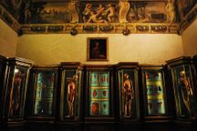 Anatomical exhibits at the Museo di Palazzo Poggi